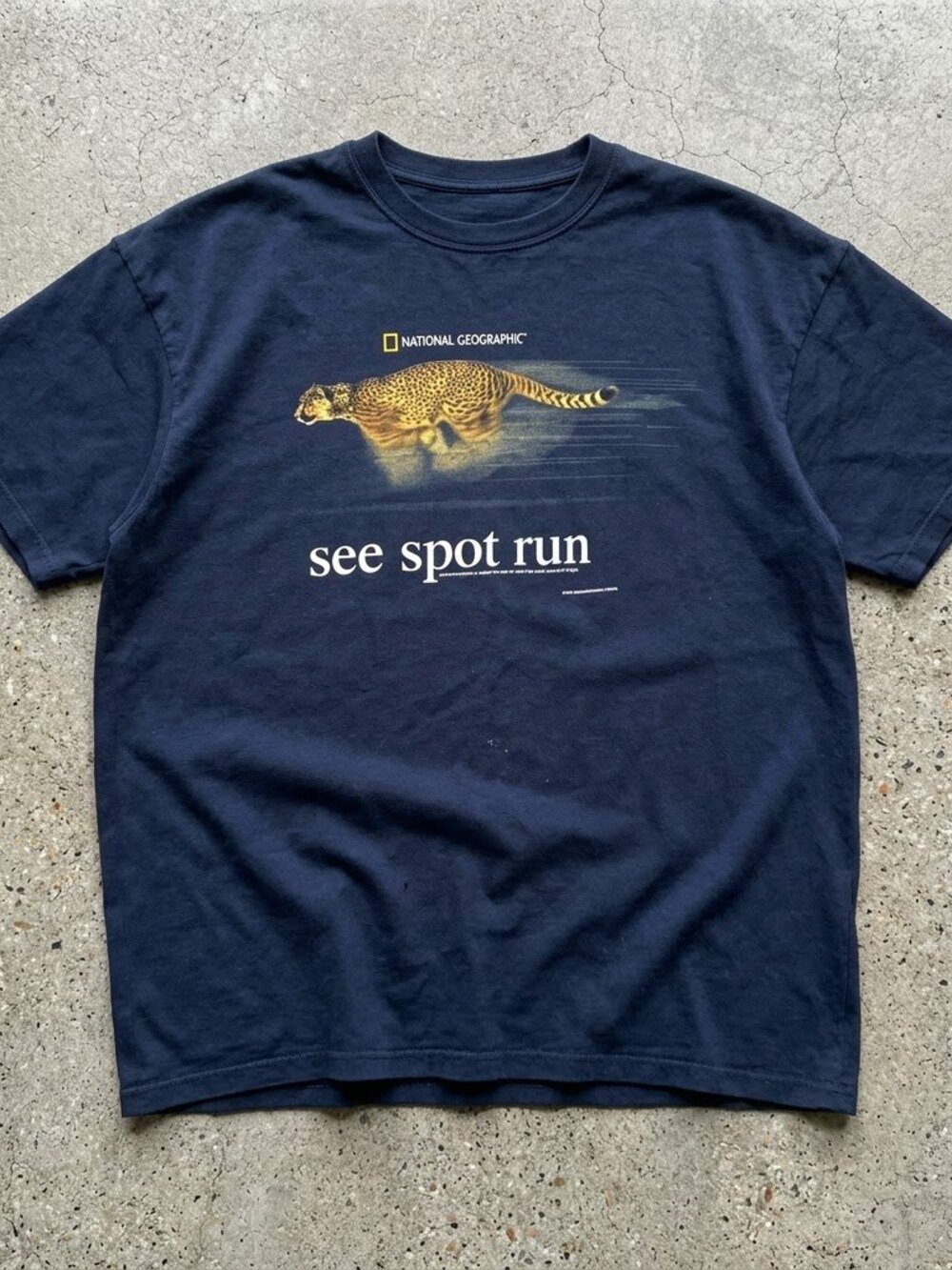 National Geographic See Spot Run Cheetah Graphic T-Shirt
